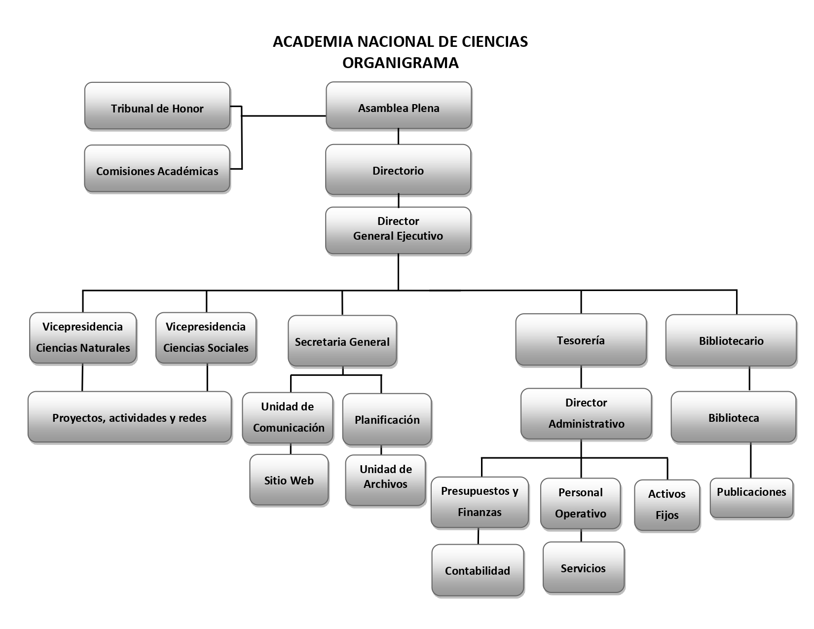 Organigrama de la Academia